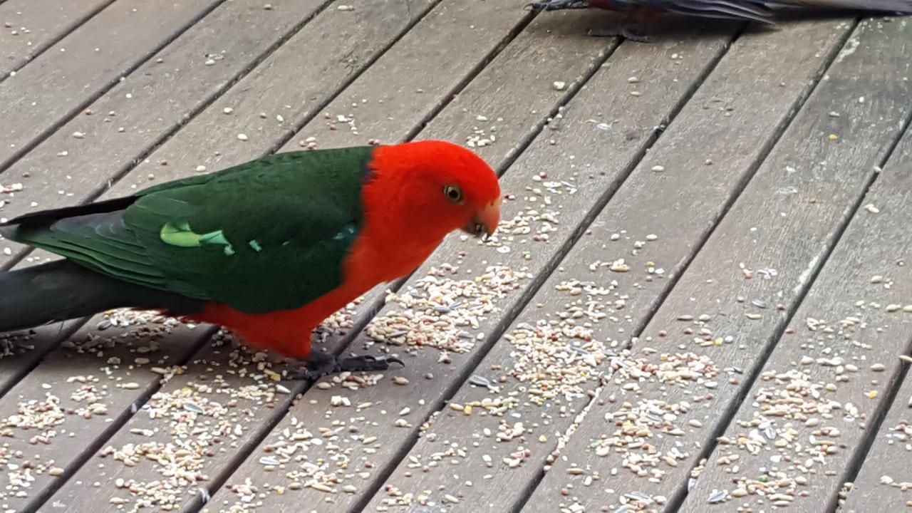 Wilsons Promontory Motel Foster Bagian luar foto