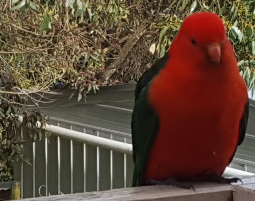 Wilsons Promontory Motel Foster Bagian luar foto